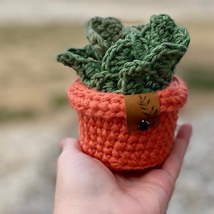 Crocheted Monstera Leaf Coaster Set with Pot